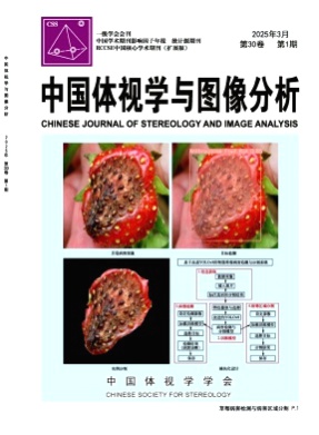 中国体视学与图像分析杂志